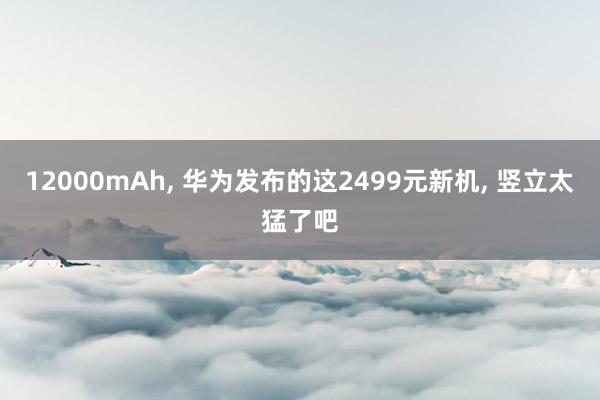 12000mAh， 华为发布的这2499元新机， 竖立太猛了吧