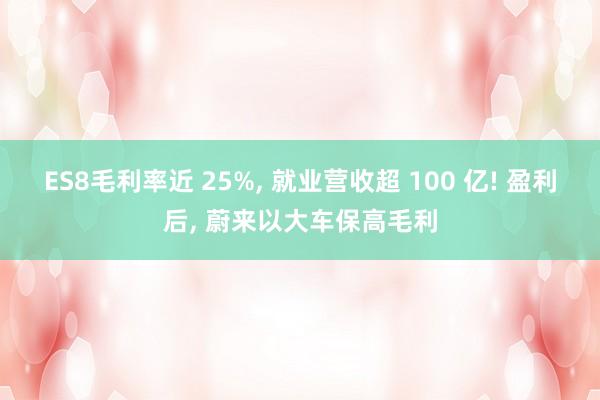 ES8毛利率近 25%， 就业营收超 100 亿! 盈利后， 蔚来以大车保高毛利