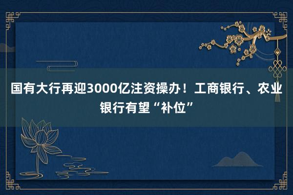 国有大行再迎3000亿注资操办！工商银行、农业银行有望“补位”