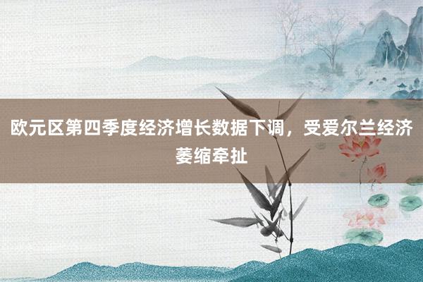 欧元区第四季度经济增长数据下调，受爱尔兰经济萎缩牵扯