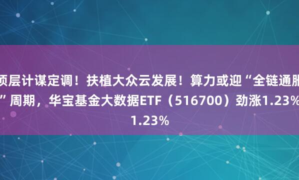 顶层计谋定调！扶植大众云发展！算力或迎“全链通胀”周期，华宝基金大数据ETF（516700）劲涨1.23%