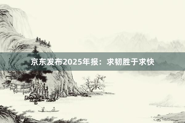 京东发布2025年报：求韧胜于求快