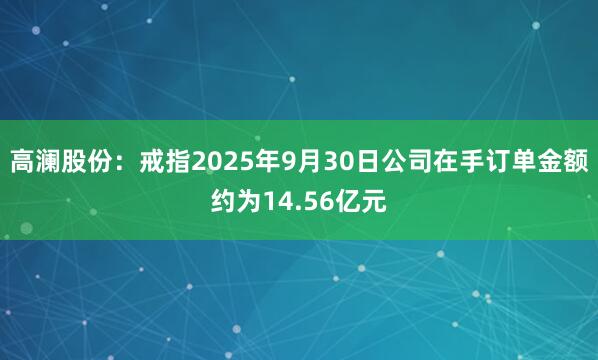 高澜股份：戒指2025年9月30日公司在手订单金额约为14.56亿元