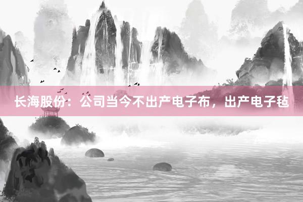 长海股份：公司当今不出产电子布，出产电子毡