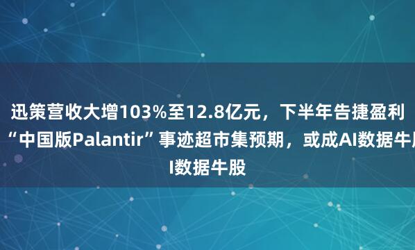 迅策营收大增103%至12.8亿元，下半年告捷盈利！“中国版Palantir”事迹超市集预期，或成AI数据牛股
