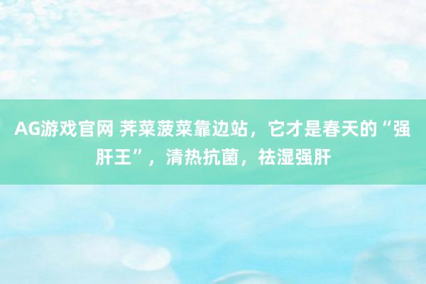 AG游戏官网 荠菜菠菜靠边站，它才是春天的“强肝王”，清热抗菌，祛湿强肝