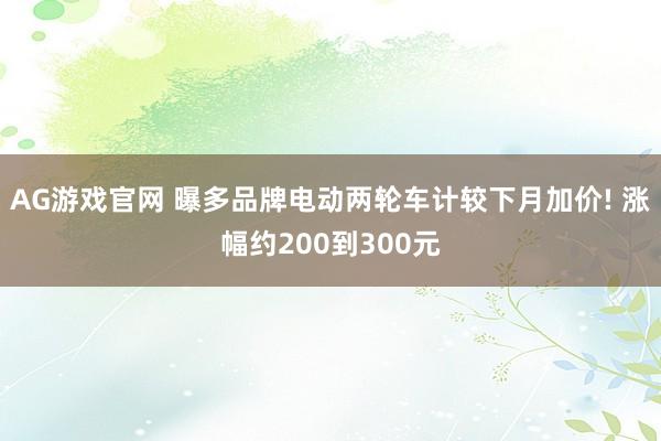 AG游戏官网 曝多品牌电动两轮车计较下月加价! 涨幅约200到300元