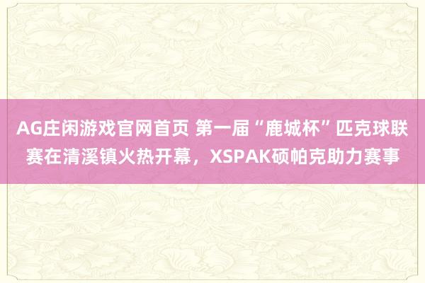 AG庄闲游戏官网首页 第一届“鹿城杯”匹克球联赛在清溪镇火热开幕，XSPAK硕帕克助力赛事