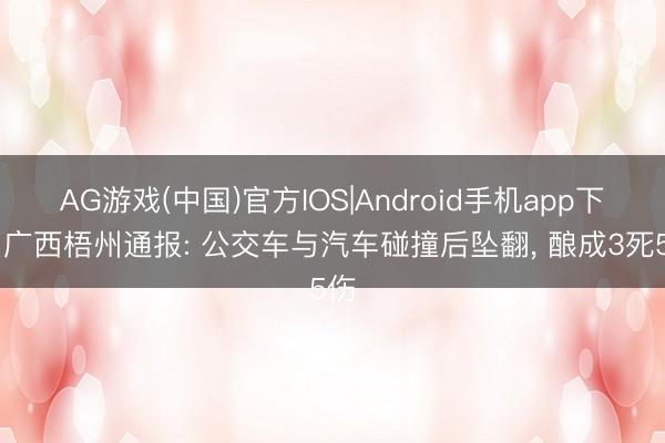 AG游戏(中国)官方IOS|Android手机app下载 广西梧州通报: 公交车与汽车碰撞后坠翻，<a href=