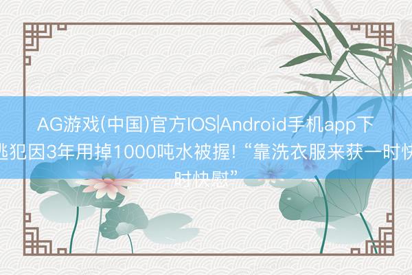 AG游戏(中国)官方IOS|Android手机app下载 逃犯因3年用掉1000吨水被握! “靠洗衣服来获一时快慰”