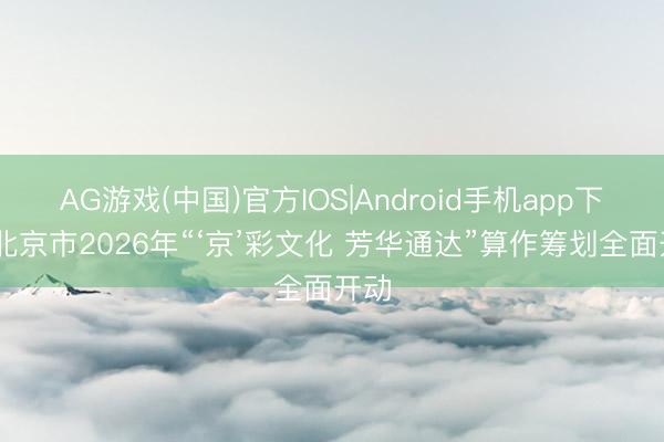 AG游戏(中国)官方IOS|Android手机app下载 北京市2026年“‘京’彩文化 芳华通达”算作筹划全面开动