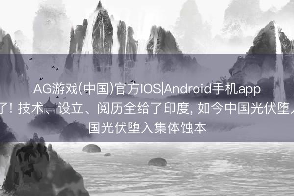 AG游戏(中国)官方IOS|Android手机app下载 太傻了! 技术、设立、阅历全给了印度， 如今中国光伏堕入集体蚀本