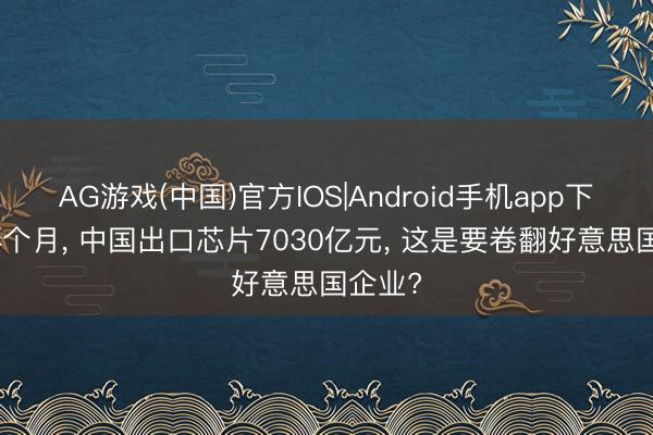AG游戏(中国)官方IOS|Android手机app下载 仅4个月, 中国出口芯片7030亿元, 这是要卷翻好意思国企业?
