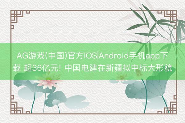 AG游戏(中国)官方IOS|Android手机app下载 超36亿元! 中国电建在新疆拟中标大形貌