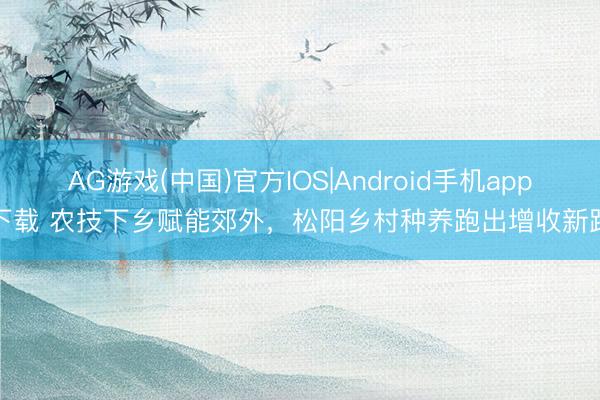 AG游戏(中国)官方IOS|Android手机app下载 农技下乡赋能郊外，松阳乡村种养跑出增收新路